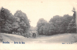 BRUXELLES - Ravin Du Bois - Forêts, Parcs, Jardins