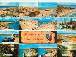 CPSM Souvenir De La Côte D'Opale-Multivues        L1565 - Nord-Pas-de-Calais