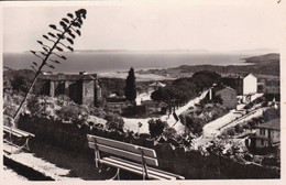 83 - Bormes Les Mimosas - Vue Générale Et Vue Sur Les Iles D'or -  Cpa - Bormes-les-Mimosas