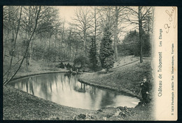 CPA - Carte Postale - Belgique - Château De Tribomont - Les Etangs (CP20338) - Herve