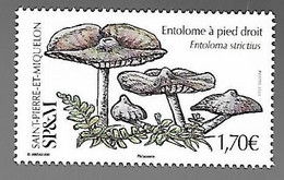 SP & M 2022 -Yv N° 1287 ** -  Entolome à Pied Droit - Unused Stamps