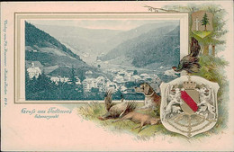 AK GERMANY - GRUSS AUS TODTMOOS - SCHWARWALD - VERLAG PH. BUSSEMER - EMBOSSED POSTCARD 1900s (13071) - Todtmoos