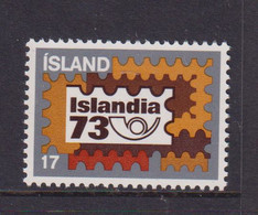 ICELAND - 1973  Stamp Exhibition  17k Never Hinged Mint - Ungebraucht