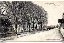 CPA 79 ( Deux Sevres  ) - CHAMPDENIERS - Route De Segondigny - Champdeniers Saint Denis