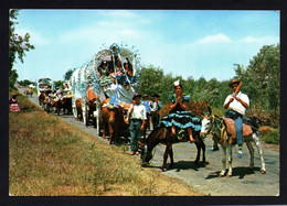 (RECTO / VERSO) ANDALUCIA - N° 8 - ROMERIA DEL ROCIO - FOLKLORE - CPM GF - Huelva