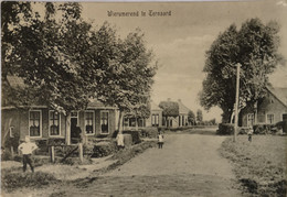 Ternaard (Frl.) Wierumerend (geanimeerd) 1917 Met GR Stempel - Autres & Non Classés