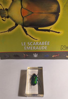 Collection "Authentiques Insectes" N°4 : Le Scarabée Emeraude" - Autres & Non Classés