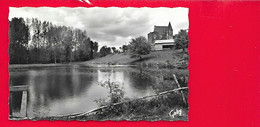 CHAMPDENIERS Château De Neufchaise Et Etang (Artaud Gaby) Deux Sèvres (79) - Champdeniers Saint Denis