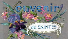 17 - SAINTES  - Multivues - Souvenirs Fleurs - Saintes