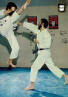 SPORT-JUDO -KARATE-MAE-TOBI-GERI - Ringen