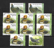 Buzin Verenigingen / Associations - Gest./obl. - 1985-.. Pájaros (Buzin)