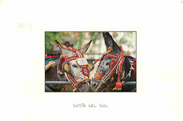 Animaux - Anes - Espagne - Costa Del Sol - CPM - Voir Scans Recto-Verso - Donkeys