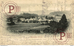 1904 PANORAMA D'ORON - Oron