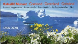 Groenland 1989 Yvertn° Carnet C177 *** MNH Cote 100,00 Euro Série Courante  Reine Margrethe II - Markenheftchen
