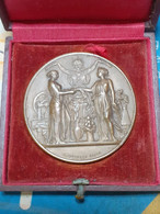 MEDAILLE DE L'ENSEIGNEMENT PAR E.FAROCHON SCULP. - Professionnels / De Société