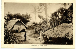Ile API - Une Tribu -  1267 - Polynésie Française