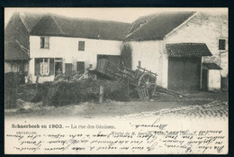 CPA - Carte Postale - Belgique - Bruxelles - Schaerbeek - La Rue Des Génisses - 1903 (CP20374OK) - Schaerbeek - Schaarbeek