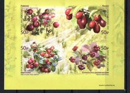 Russia 2022. Flora Of Russia. Berries. Fruit. Plants. MNH - Ongebruikt