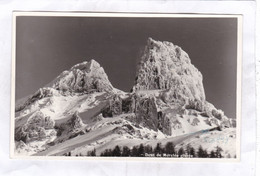 Carte Photo: 14 X 9 - Dent De Morcles Givrée - Morcles