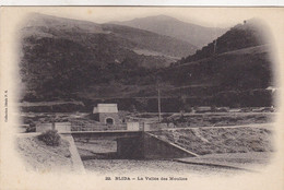 Algérie - Blida - La Vallée Des Moulins - Blida