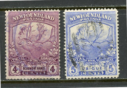 Newfoundland USED 1919 Trail Of The Caribou Issue - 1865-1902