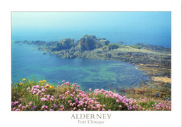 Alderney - Fort Clonque On The West Coast (Ald 1-C.Andrews) Wild Flowers, Ile Aurigny - Alderney