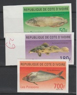 Côte D'Ivoire Ivory Coast 1996 IMPERF NON DENTELES Poissons Fische Fishes Marine Fauna Faune MNH ** - Fishes