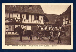 Alsace. Hoerdt (67). Période De Fenaison. Faucheurs Et Faneuses. Lot De 2 Cartes - Sonstige & Ohne Zuordnung