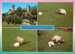 Animaux - Oiseaux - Rapaces - Château De Beaucens - Donjon Des Aigles - Le Vautour Percnoptere - Multivues - Casseur D'œ - Vogels