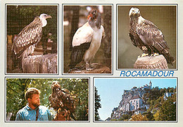Animaux - Oiseaux - Rapaces - Rocamadour - Volerie Des Aigles - Multivues - CPM - Voir Scans Recto-Verso - Vogels