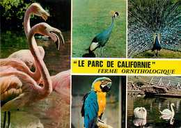 Animaux - Oiseaux - La Faute Sur Mer - Ferme Ornithologique - Le Parc De Californie - Multivues - CPM - Voir Scans Recto - Oiseaux