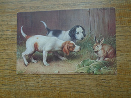 Carte Assez Rare ,  Petits Chiens De Chasse Et Un Joli Lapin - Honden