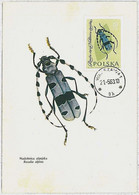 32542 -  Polonia -  MAXIMUM CARD : INSECTS1963  # 5 - Zonder Classificatie