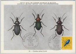 52711 - SWITZERLAND -  MAXIMUM CARD - 1956  PRO JUVENTUTE Insects BETTLES - Zonder Classificatie