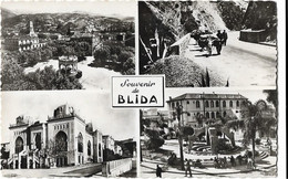 Algerie  -    Blida  - Vues Multiples - Blida