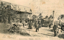 Trianon Nancy * 1904 * Allée Du Tir - Nancy