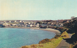 (D-ST087) - DRUMMORE (Dumfriesshare, Scozia) - Shore Street - Cartolina Piccolo Formato Cm 14 X 9 - Dumfriesshire