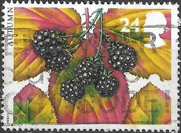 GREAT BRITAIN 1993 The Four Seasons. Autumn. Fruits And Leaves - 24p. - Blackberry AVU - Gebraucht