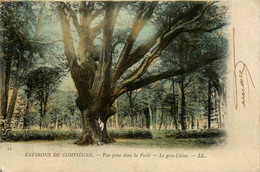 Dans La Dorêt * Le Gros Chêne * Arbre Tree * Environs De Compiègne - Compiegne