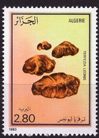 ALGERIE CHAMPIGNONS, CHAMPIGNON, MUSHROOM, YVERT N° 969. MNH, Neuf Sans Charniere - Paddestoelen