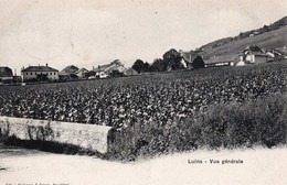 VAUD LUINS VUE GENERALE VIGNOBLE VIGNES - Edit. Huguenin & Grivaz Neuchatel - Voyagé Le 17.05.1910 - Rivaz