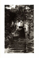 84 BONNIEUX ESCALIERS DE LA VIEILLE EGLISE - Bonnieux