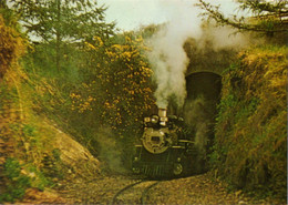 Dobwalls 1/6th Scale Model Railway,1979-2006-"doyen Of Our Fleet-Rio Grande No. 488"-Chemin De Fer Miniature 1985 - Other