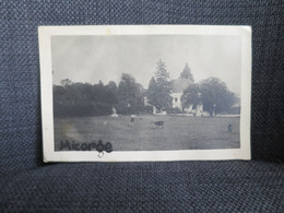 MANLEY (21) Carte Photo Chateau De Micorge - Other & Unclassified