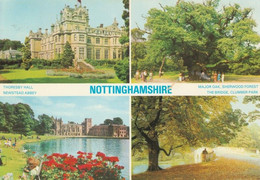 3 AK England * Nottinghamshire - Thoresby Hall - Newstead Abbey - Statue Robin Hood - Major Oak - Sherwood Forest - Otros