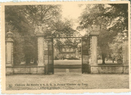 Le Roeulx 1961; Château, L'entrée Principale - Voyagé. (A. Pesesse - Le Roeulx) 10x15!! - Le Roeulx