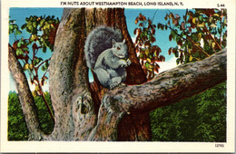 New York Long Island Squirrel In Tree I'm Nuts About Westhampton Beach - Long Island