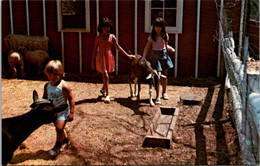 Rhode Island Hopkinton Enchanted Forest Children's Petting Area - Sonstige & Ohne Zuordnung