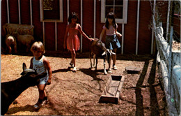 Rhode Island Hopkinton Enchanted Forest Childrens Petting Area - Sonstige & Ohne Zuordnung