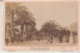 Hyères-les-Palmiers-photographie 1892-10,50cm Sur 16cm - Luoghi